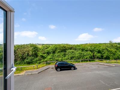 Picture 20